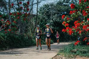 BIB: 
                            <button type="button" onclick="openModal(26139137)" class="btn btn-primary btn-sm float-right btn-popup" data-toggle="modal" data-target=".modal-high-quality">
                        <i class="fas fa-shopping-cart"></i> Add to Cart
                    </button>
                                            <button type="button" onclick="isThisMe(26139137, true)" class="btn btn-success btn-sm float-right btn-popup btn-isme hidden" data-toggle="tooltip" data-placement="bottom" title="นี่คือรูปของคุณใช่ไหม คลิกที่นี่เพื่อเอาเข้าอัลบั้ม">
                        <i class="fas fa-plus"></i> Add to album
                    </button>
                    <button type="button" onclick="isThisMe(26139137, false)" class="btn btn-warning btn-sm float-right btn-popup btn-isnotme hidden">
                        <i class="fas fa-ban"></i> Remove from album
                    </button>